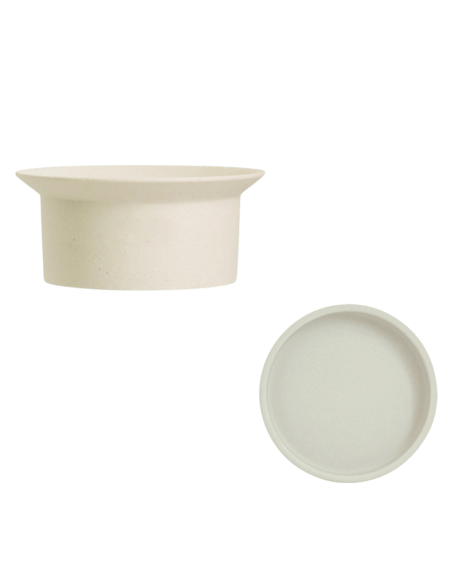 Ripple Bowl Ceramic Planter - Planter - 5052766219355 - Tumbleweed Plants - Online Plant Delivery Singapore