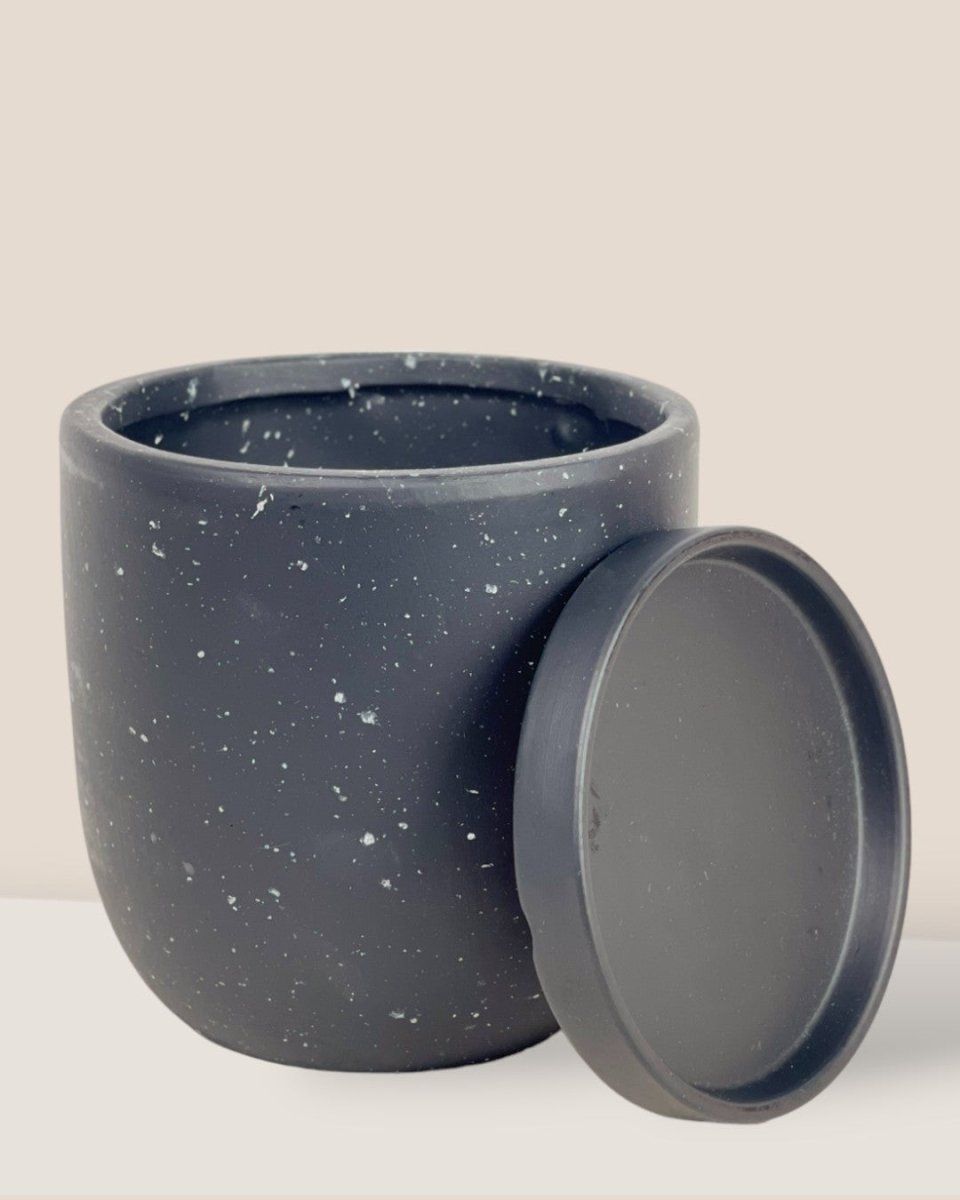 Small Eloise with Tray - black - Pot - Tumbleweed Plants - Online Plant Delivery Singapore