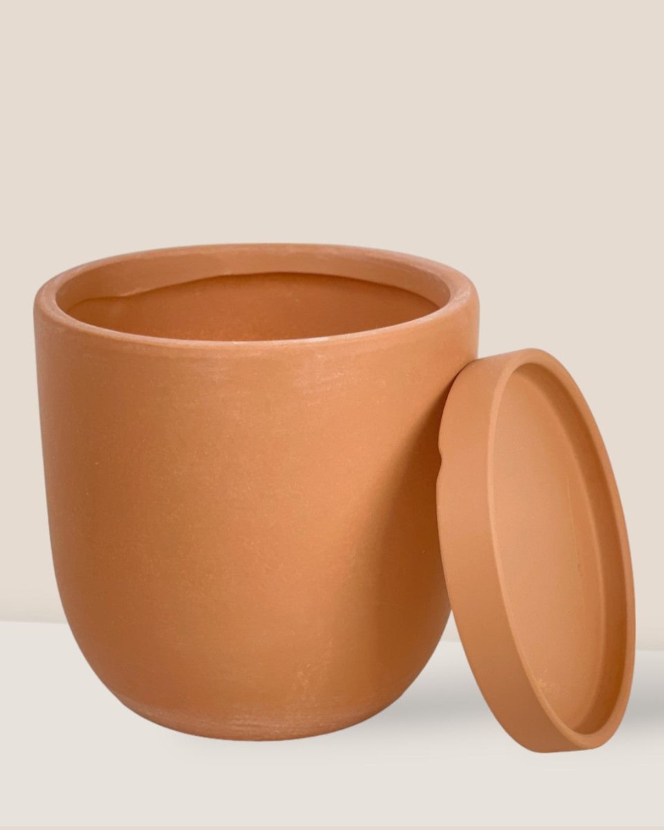 Small Eloise with Tray - brown - Pot - Tumbleweed Plants - Online Plant Delivery Singapore