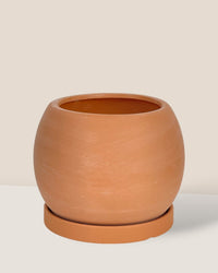 Nala Planter - Medium