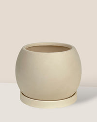 Nala Planter - Small