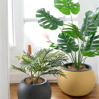 Sphere - HydroEase Pot - Large