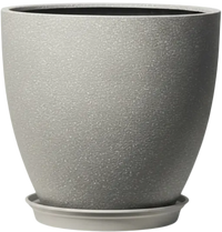 Stria Egg Pots - XL
