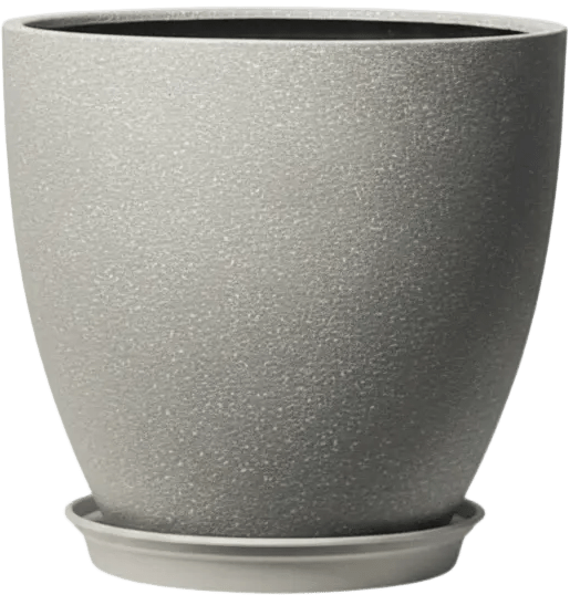 Stria Egg Pots - XL - Planter - 5446393642049 - Tumbleweed Plants - Online Plant Delivery Singapore