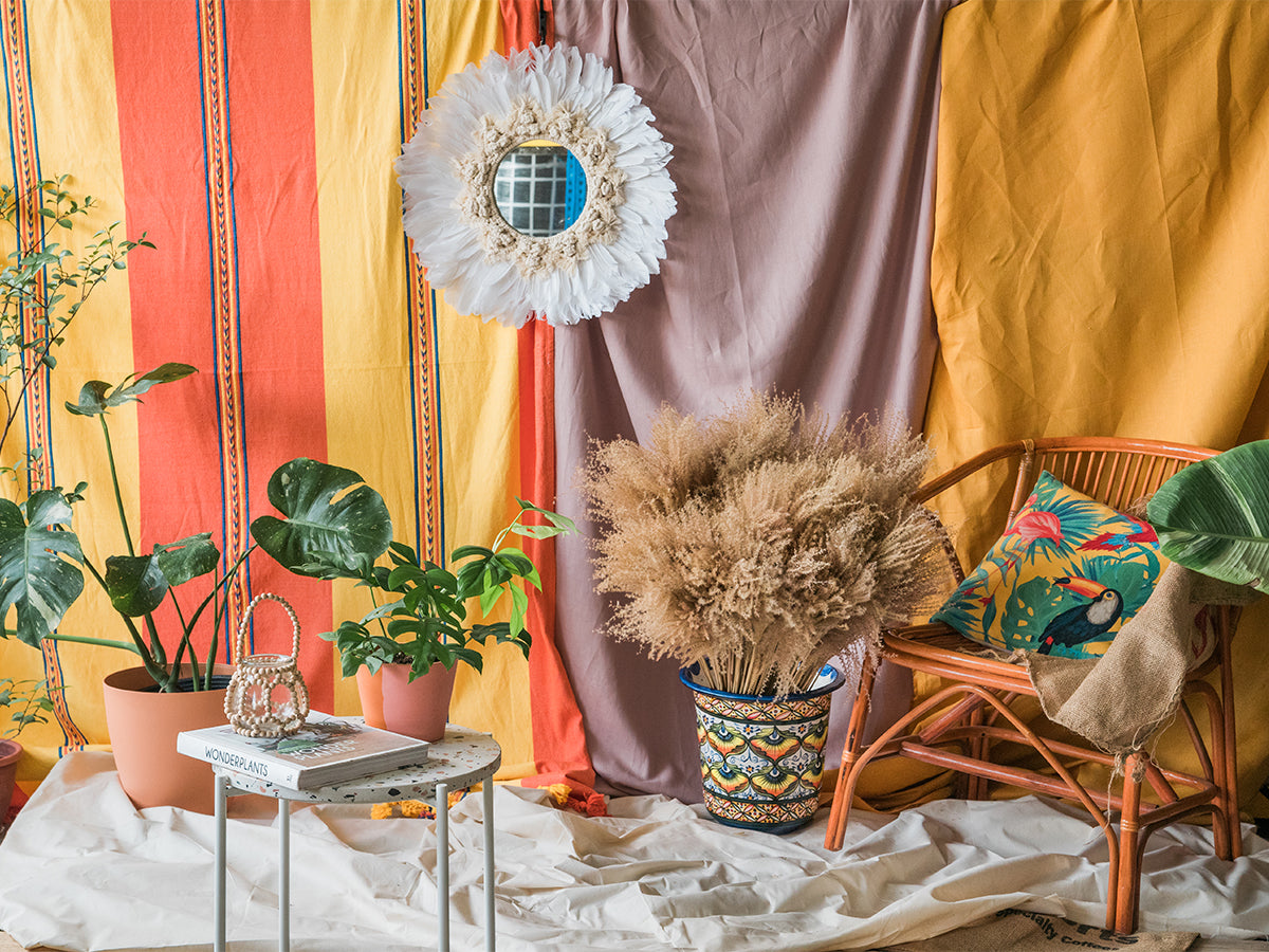 Houseplant Styling service with Mexican theme