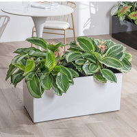 Planter BOX - Hydroease Planter Box