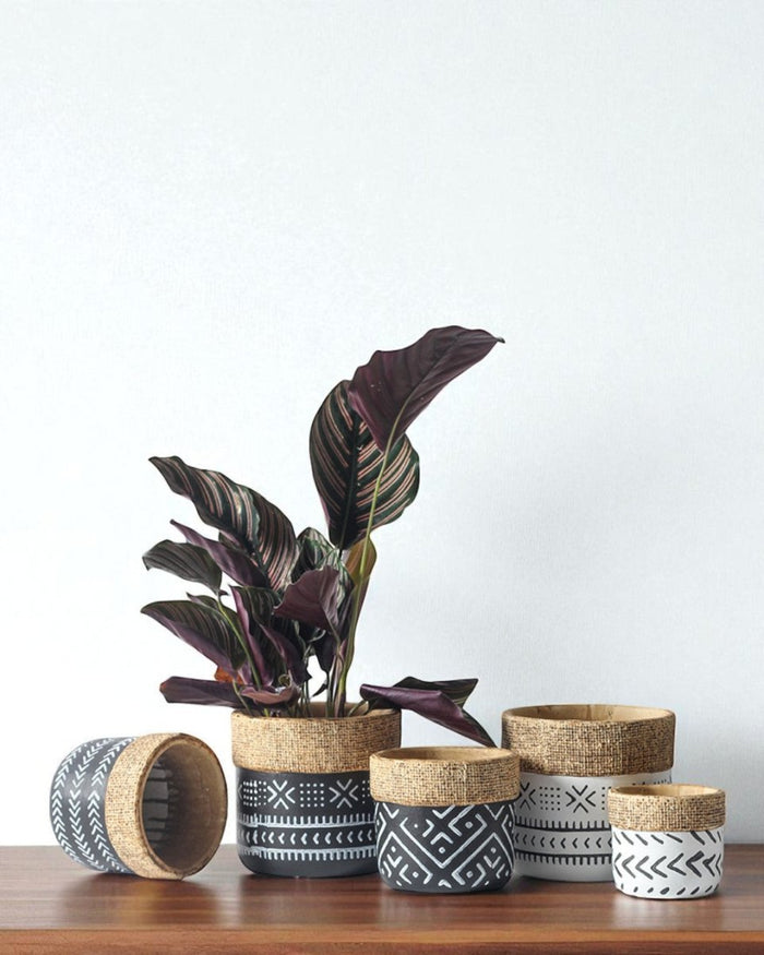 Tribal Planters - Medium - Planter - 4850522864444 - Tumbleweed Plants - Online Plant Delivery Singapore