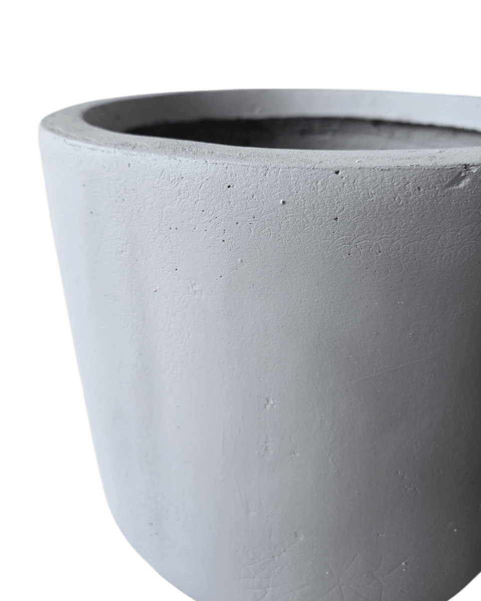 Vault Tall Planter - Planter - 4754535109639 - Tumbleweed Plants - Online Plant Delivery Singapore