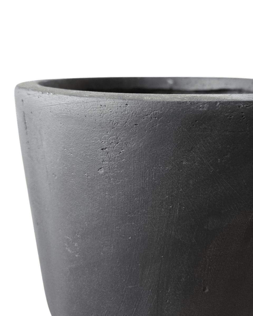 Vault Tall Planter - Planter - 4754535109639 - Tumbleweed Plants - Online Plant Delivery Singapore