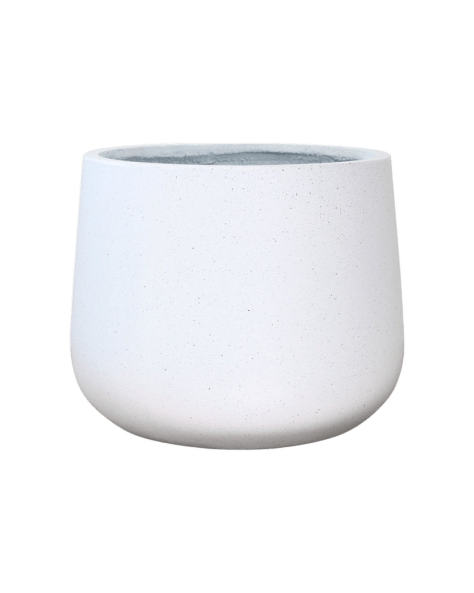 XL Nova Planter - Pots - 4754535109644 - Tumbleweed Plants - Online Plant Delivery Singapore