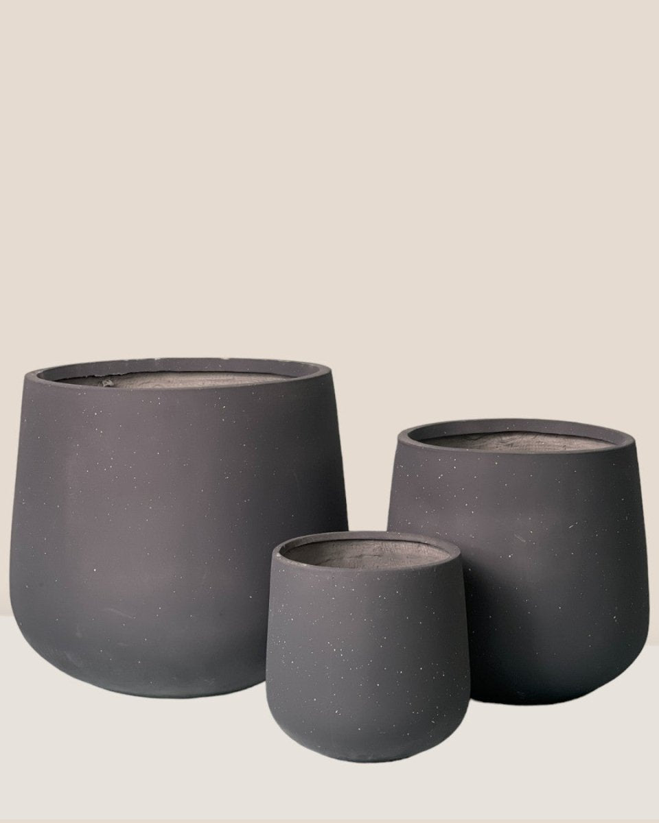 XL Sienna - cream - Pot - Tumbleweed Plants - Online Plant Delivery Singapore