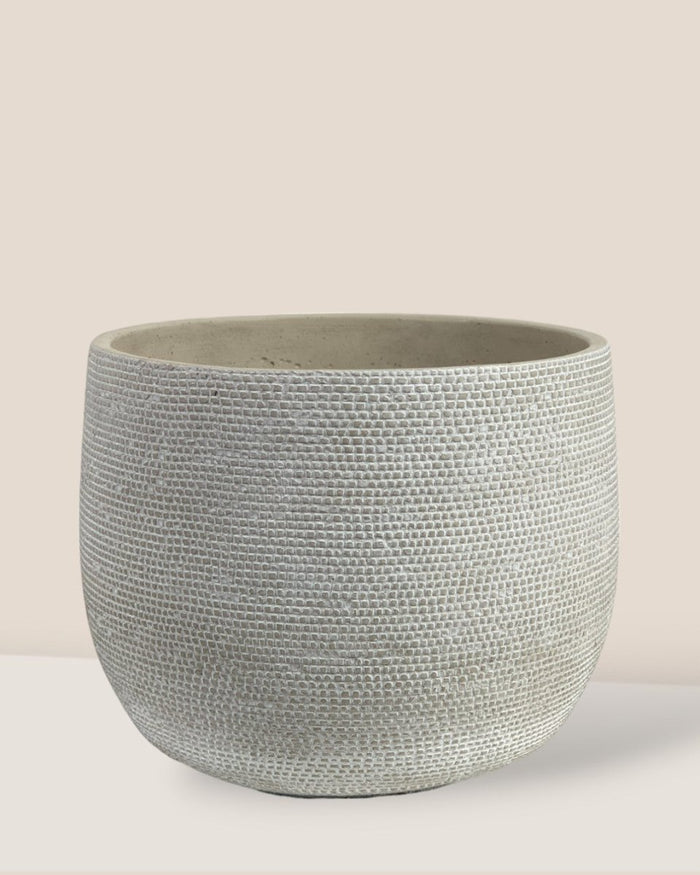 Bauble Planter - Pearl White - Pot - Tumbleweed Plants - Online Plant Delivery Singapore