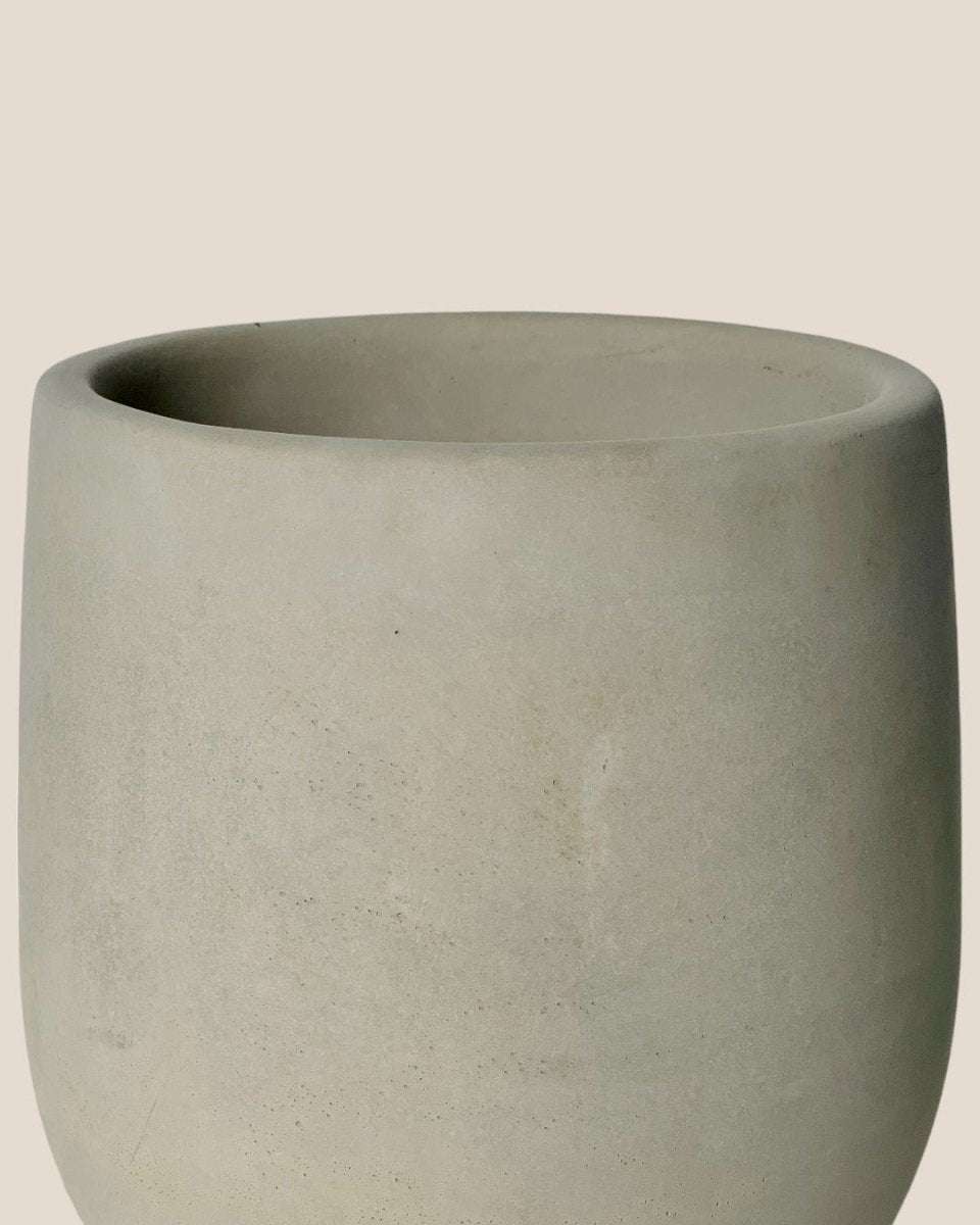 Small Dusty Grey Cement Planter with Tray - 11.5cm - Pot - Tumbleweed Plants - Online Plant Delivery Singapore