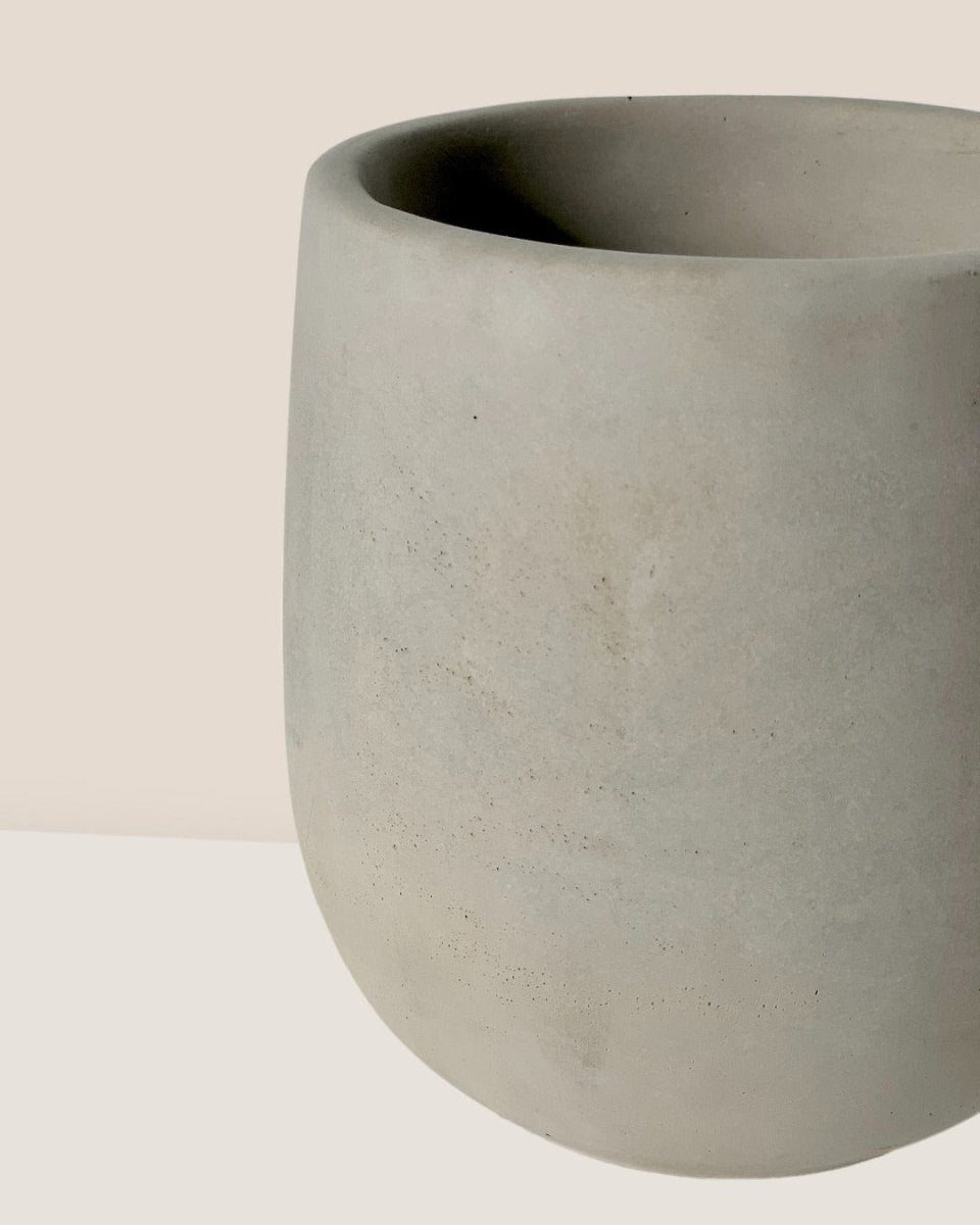 Small Dusty Grey Cement Planter with Tray - 11.5cm - Pot - Tumbleweed Plants - Online Plant Delivery Singapore