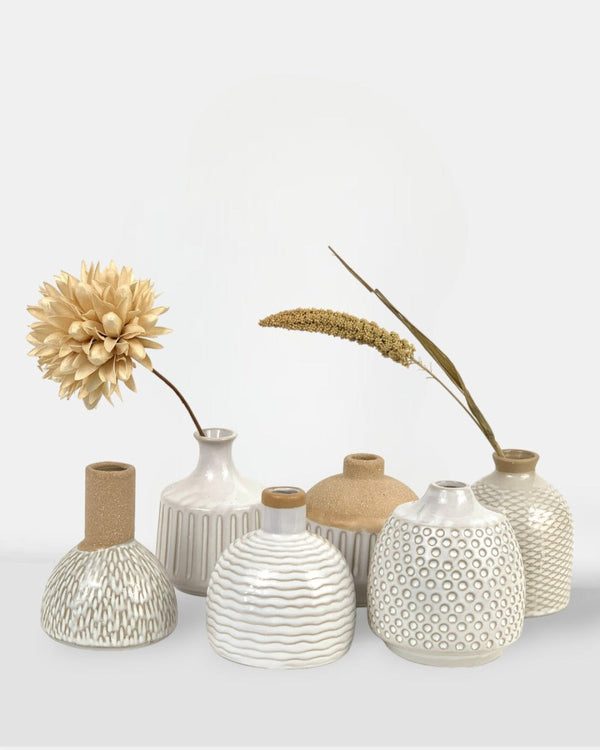 Tumbleweed Plants