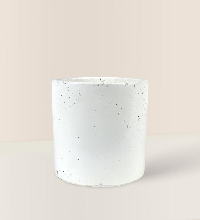 White Cement Pot - Pot - Tumbleweed Plants - Online Plant Delivery Singapore