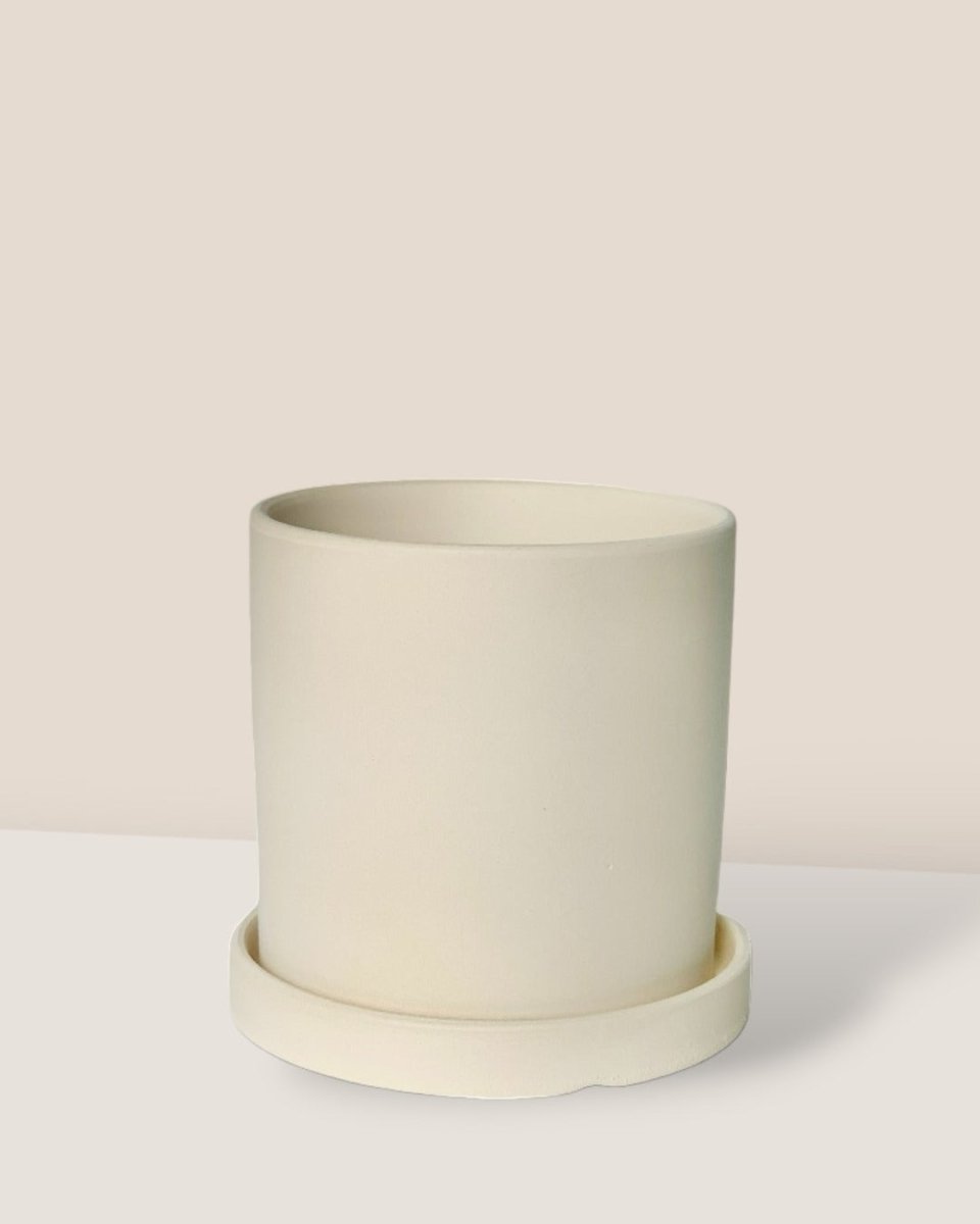 White Flour Planter - cylinder - Pot - Tumbleweed Plants - Online Plant Delivery Singapore